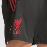 JV6552 LIVERPOOL POLO - immagine 5