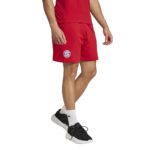 IT4145 FC BAYERN MUNCHEN COMPLETO POLO - immagine 3